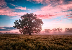 Получено прочное водостойкое соединение